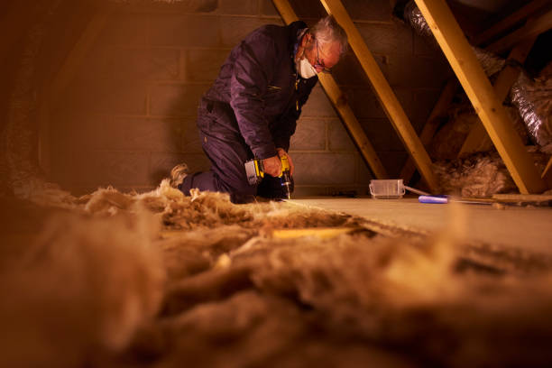 Best Types of Insulation in Daingerfield, TX